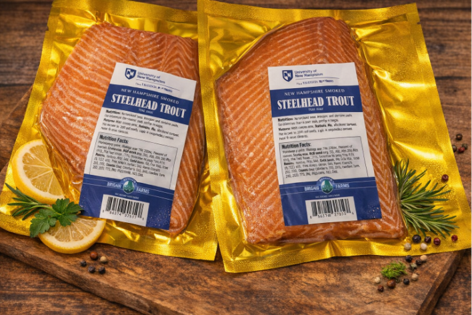 Steelhead Trout